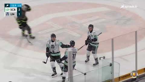 24.11.2024 - Highlights - Bietigheim Steelers vs. EV Lindau Islanders