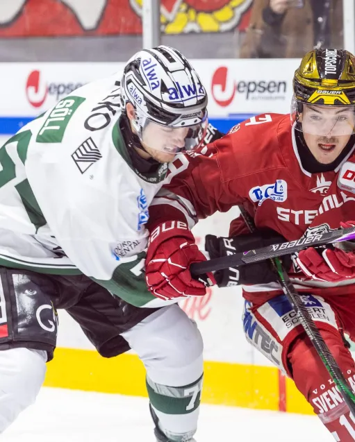 Steelers verlieren auch in Regensburg