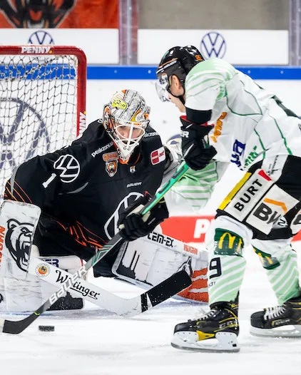 Knappe Niederlage beim Vizemeister - Steelers unterliegen Wolfsburg mit 2:3