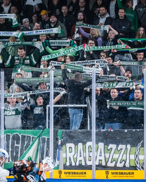 Under Review: Die Achterbahn im Ellental