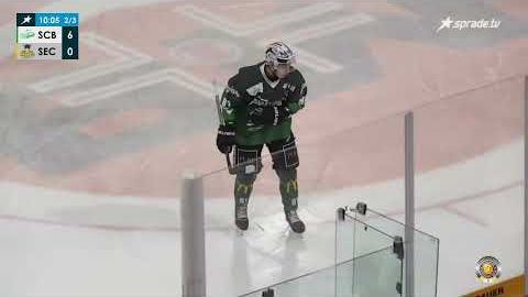 28.01.2025 - Highlights - Bietigheim Steelers vs. Stuttgarter EC