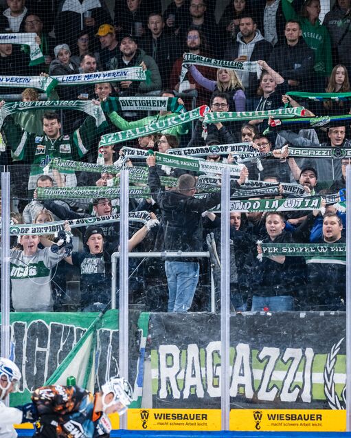 Under Review: Die Achterbahn im Ellental