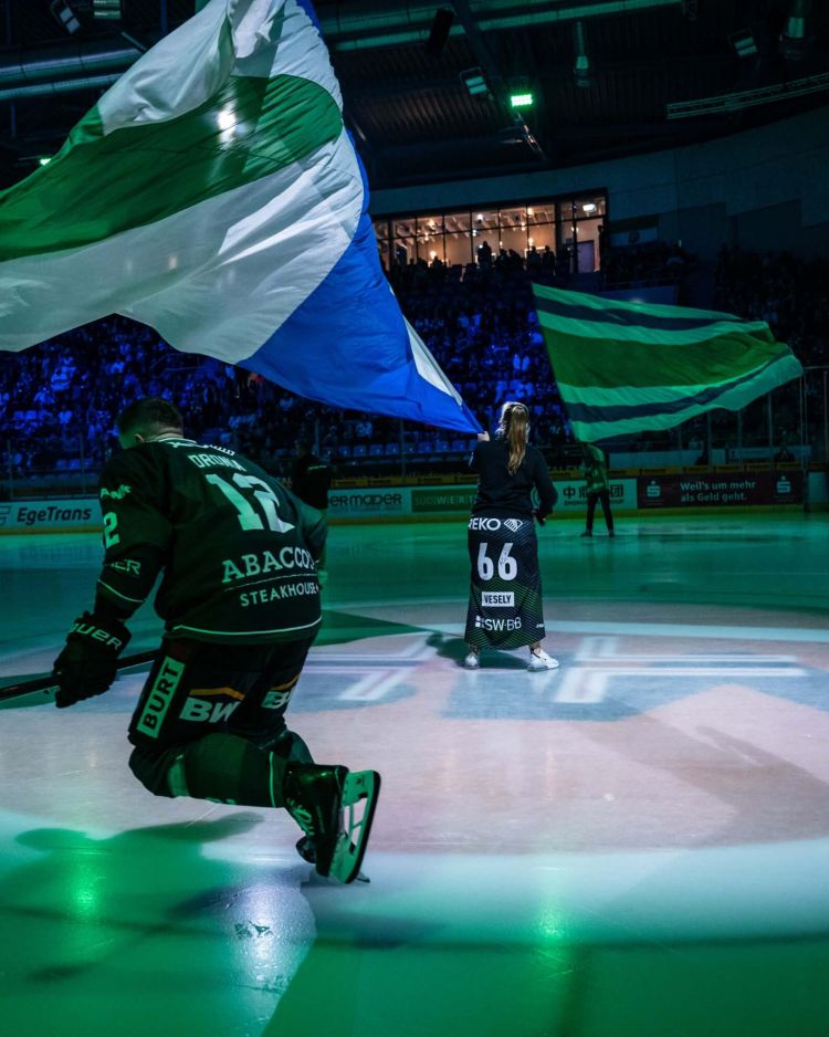 Steelers in neuem Licht