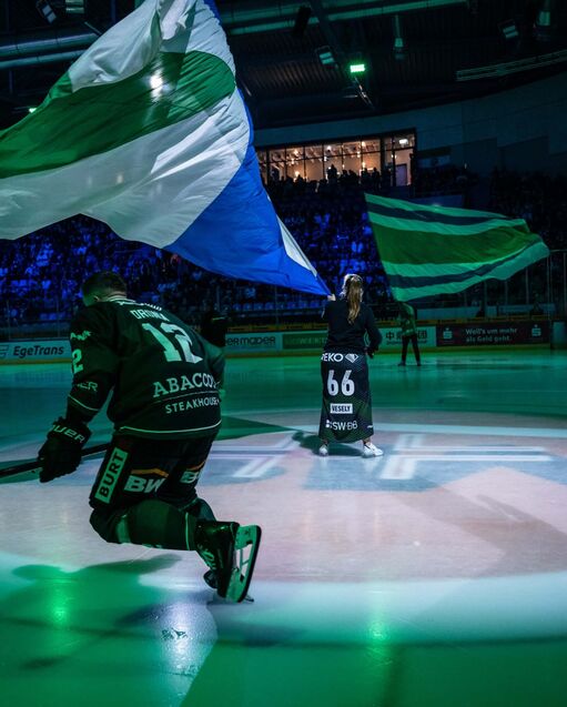 Steelers in neuem Licht