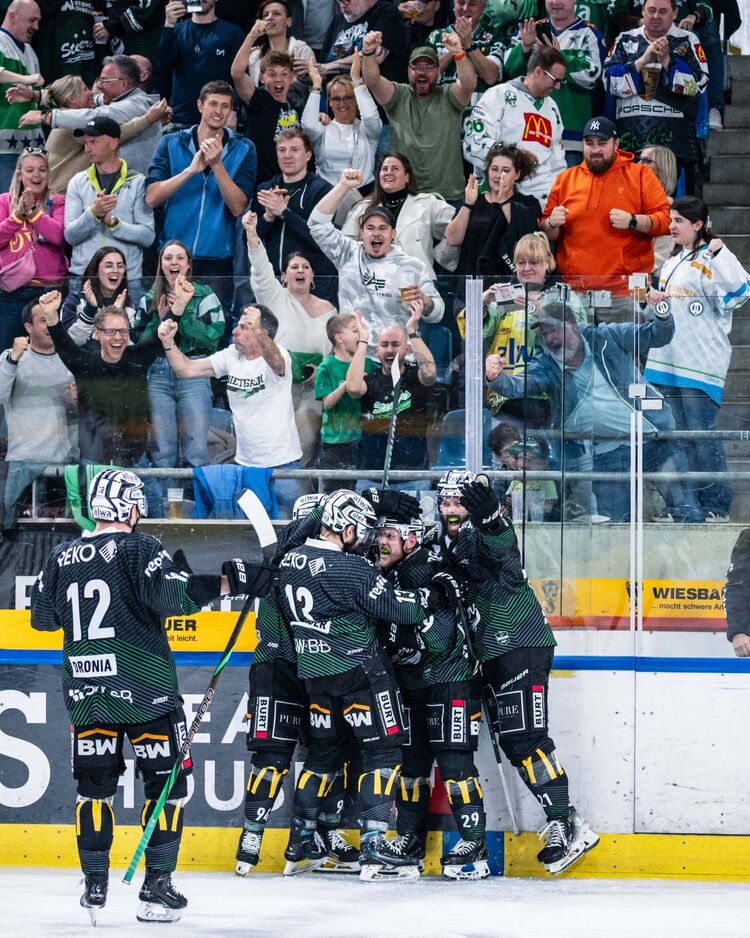 Under Review: Steelers strahlen wieder!