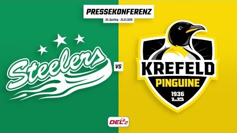 25.01.2026 - Pressekonferenz - Bietigheim Steelers vs. Krefeld Pinguine