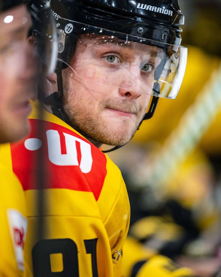 Mike Fischer kommt nach Bietigheim